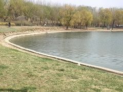 -丁香湖公园