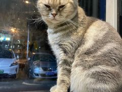 -平行世界·猫咖(首经贸店)