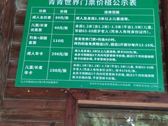 -青青世界