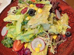 田园时蔬沙拉-布拉格餐厅· 中欧捷克菜(全国首店)