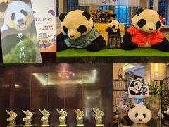 -成都保利公园皇冠假日酒店(熊猫基地店)