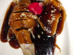 -绿茶餐厅(汇悦大融城店)