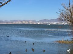 -洱海月湿地公园