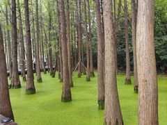 -云龙湖旅游景区