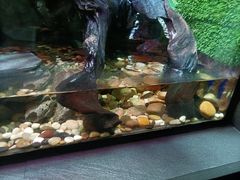 -上海海洋水族馆