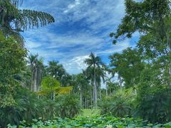 -中国科学院西双版纳热带植物园