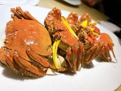 -淮扬府·游园京梦(北京SKP店)