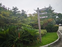 -禾丽康美医疗美容医院
