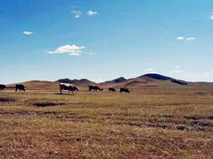 -塞罕坝国家级自然保护区