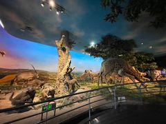 -国家自然博物馆