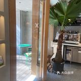 爱茶花园 太舒服啦呆了一下午！！