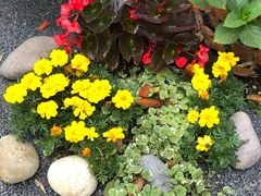 -常州古运河南大街文化旅游区-人民公园