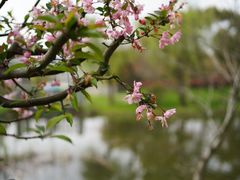 -宁波九龙湖开元度假村