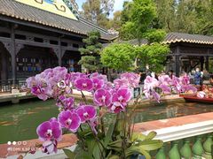 -家乡饭店(里仁洞店)