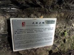 -华蓥山天意谷景区