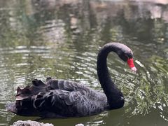 -广州长隆野生动物世界