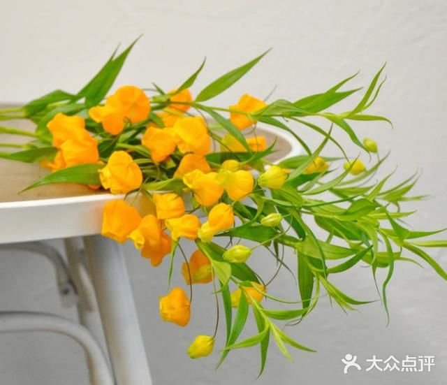 💢🌟鲜花中的爱马仕🌟💢
