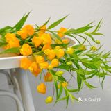 💢🌟鲜花中的爱马仕🌟💢
