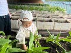 -甜心庄园·甜心草莓采摘园(西青中北店)