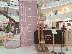 -上海七宝领展广场