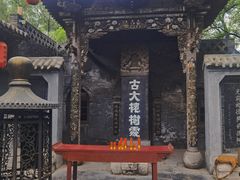 -大槐树寻根祭祖园