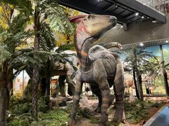 -湖南省地质博物馆