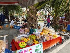 -西双版纳傣族园