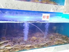 -一号码头蒸汽海鲜自助