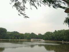 -森林公园(尖草坪区)