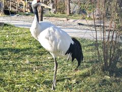 -石家庄市动物园