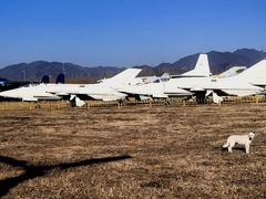 -中国航空博物馆