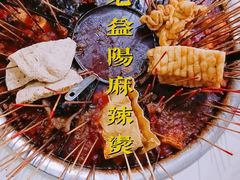 -杨姨老益阳麻辣烫(林科大店)