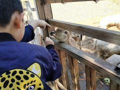 -北京鹿世界主题园