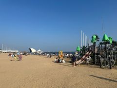 -碧海金沙