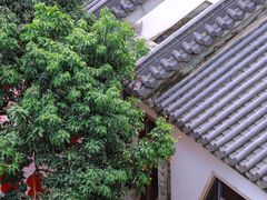 -广州神农草堂中医药博物馆