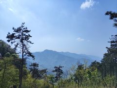 -沂蒙山旅游区云蒙景区(蒙山国家森林公园)