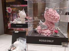 -ROSEONLY诺誓(磐基中心店)
