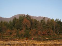 -塔川景区