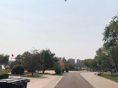 -武清南湖绿博园