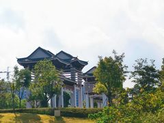 -王借岗森林公园
