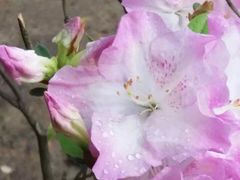 -上海植物园·停车场