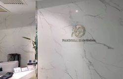 -潘多拉Hairsalon