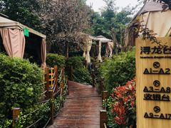 -二荆条·蜀鲜汇城市森林火锅