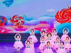 -西安小天鹅艺术团(金花路校区)