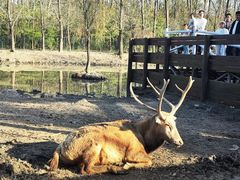 -溱湖国家湿地公园