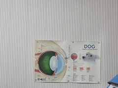 -守诺宠物医院·眼科· 特色牙科·异宠专科(虹口店)