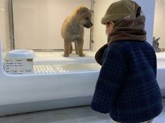 -1013 PET SHOP 宠物商店(近铁城市广场店)