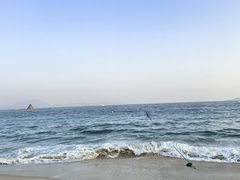 -大梅沙海滨公园