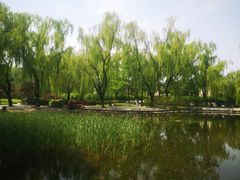 -玲珑塔公园