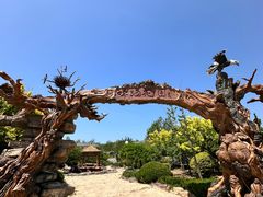 -大连蚂蚁岛度假区
